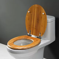 //rmrorwxhpkonlq5p-static.ldycdn.com/cloud/llBpnKiilpSRjjjnjoniio/ergonomic-toilet-seat-cost-Billion.png